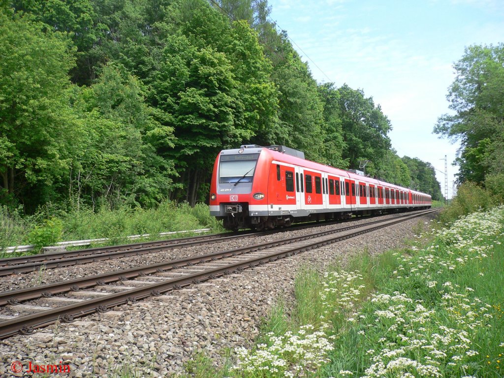 Ebenfalls bei Geltendorf kam mir 423 279-9 (Mnchner S-Bahn) vor die Linse. 24.05.08
