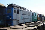  Am 13.10.2018 stand die DP 64 (142 199-9 )    von der EGP – Eisenbahngesellschaft Potsdam, im Historischen Lokschuppen Wittenberge ,